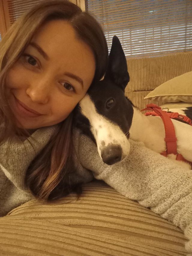 Pet Hotel Home Pet Boarding in Dublin, Dublin 1 Doggy Boarding Heaven