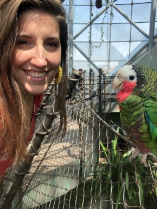 Pet Sitter in JVT, JLT, Marina, Di, Dubai Paws & Claws Co PetBacker