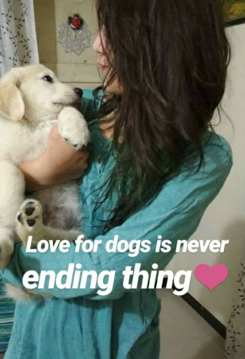 Pet Daycare in Navi Mumbai, Bengaluru Harsha Dog Sitting PetBacker