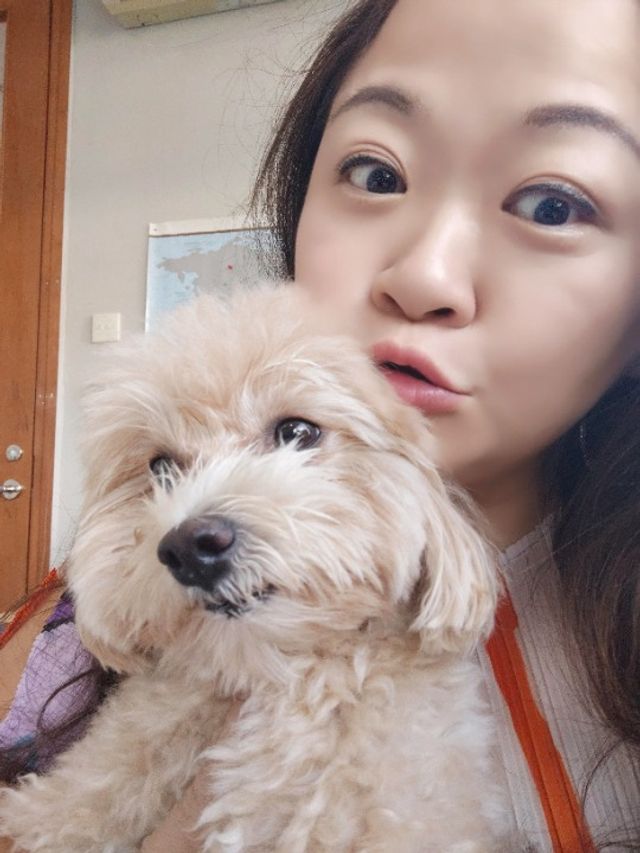 Pet Hotel Home Pet Boarding in SINGAPORE *****, Woodlands Nanny Jac PetBacker Singapore