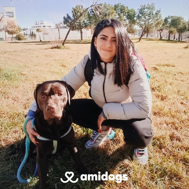 Pet Hotel Home Pet Boarding in España, Madrid, Vall, Madrid