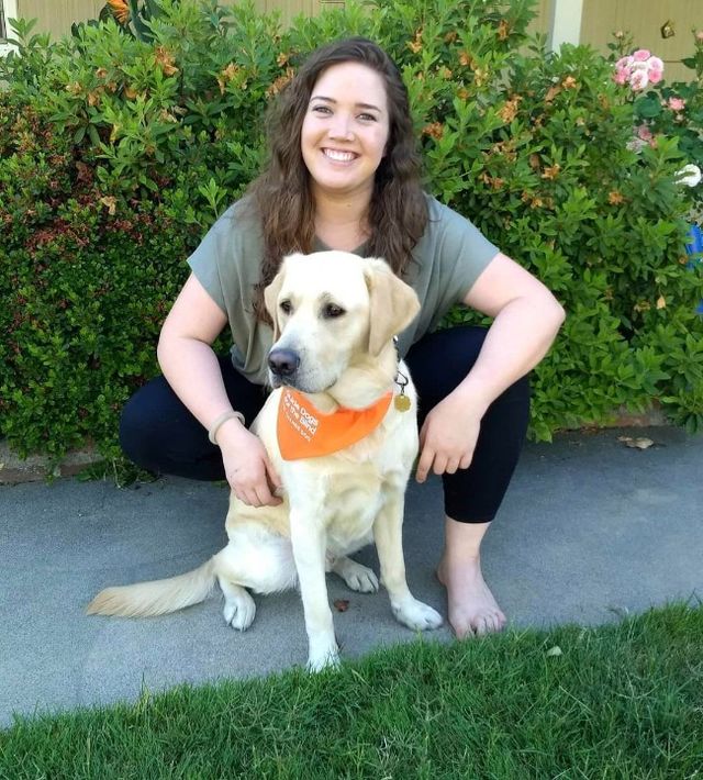 Pet Hotel Home Pet Boarding in Swan Center , Dublin Overnight Pet