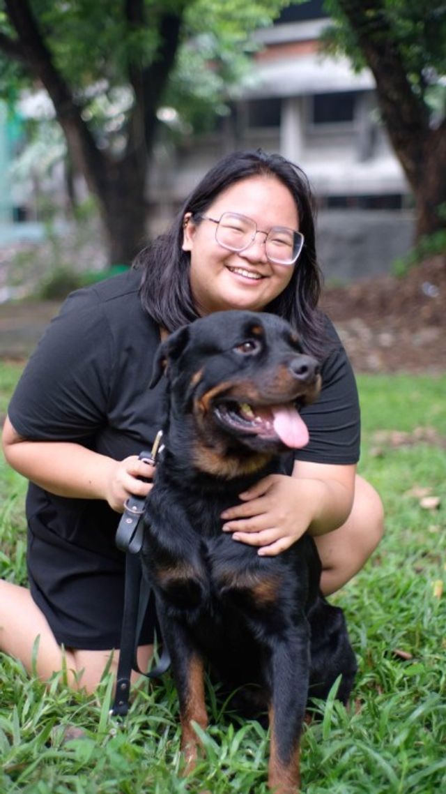 Pet Daycare in Quezon city, Quezon City Playfulpals Pet Sitting