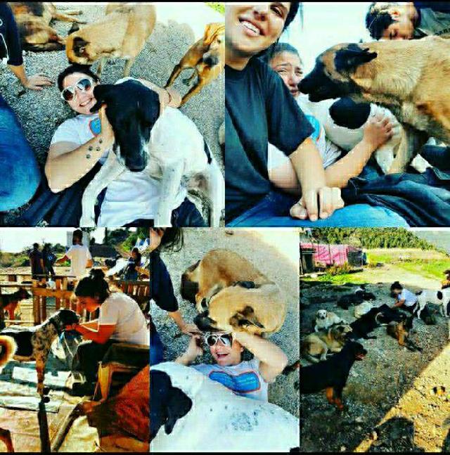 Dog Hotel Home Pet Boarding in cyprus larnaka, Pyla Tatiana's Pet