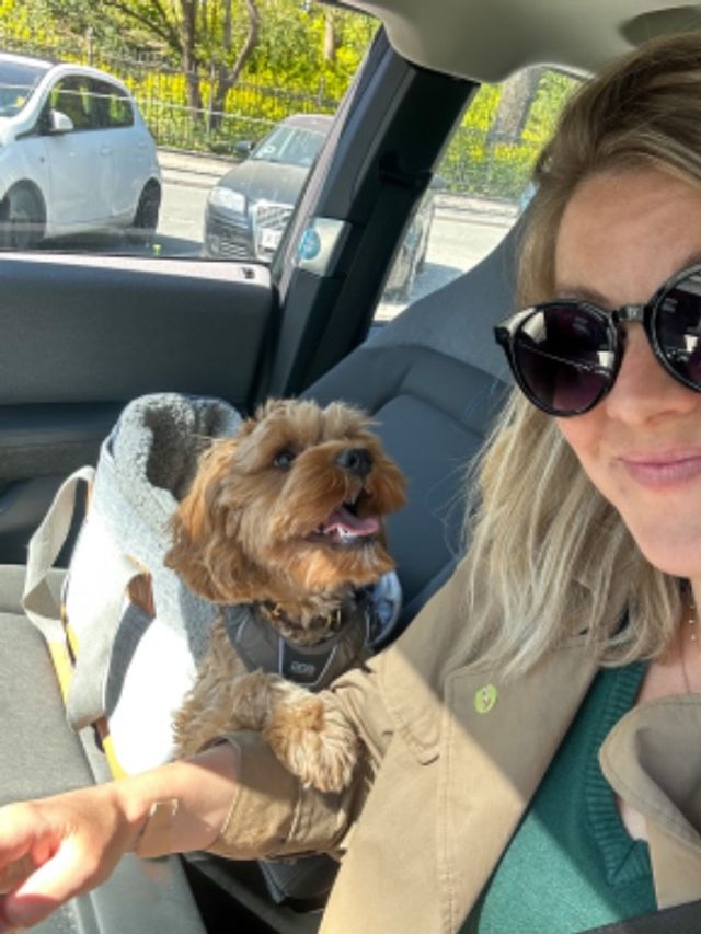 Pet Sitter in Copenhagen Pet Sitting Cph PetBacker