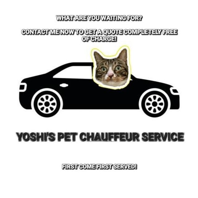 Pet Taxi Transport in Sepang, KL Yoshi's Pet Chauffeur