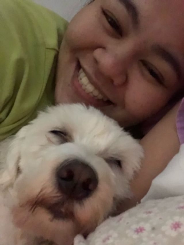 Pet Hotel Home Pet Boarding in Back of United Hyper, Dubai Scouty’s