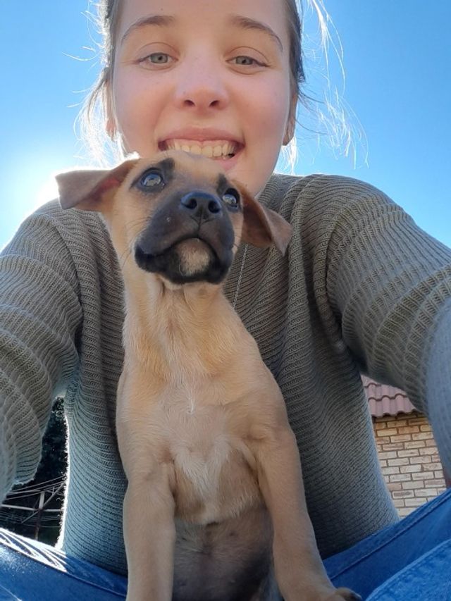 Pet Sitter in Randburg Sandton Gle, Johannesburg South Nicole's Pet