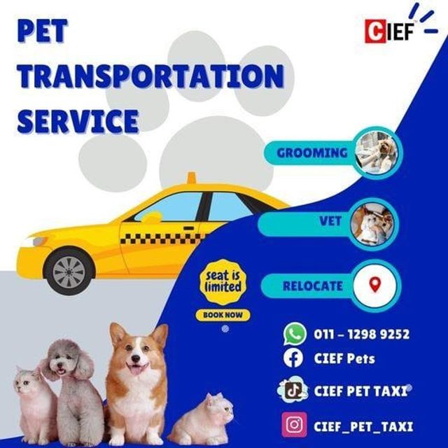 Pet Taxi Transport in Malaysian, perlis, k, KL Cief Pets