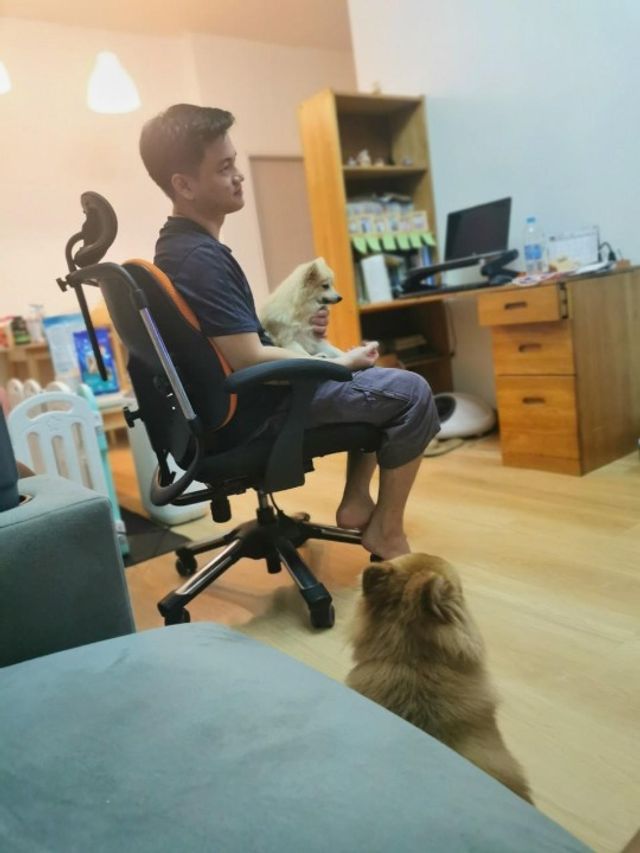 Pet Hotel Home Pet Boarding in หลังรร.มาเรียลัยค่ะ, Bangkok | แสนรักdog ...
