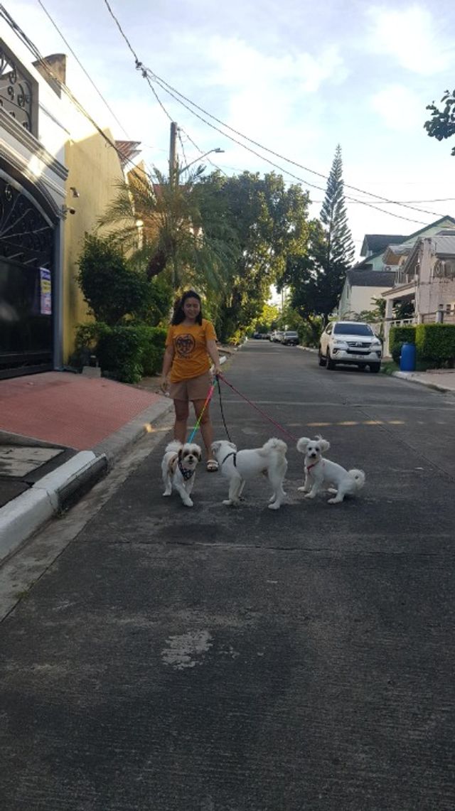 Pet Hotel Home Pet Boarding in Parañaque City, Parañaque City Pooch