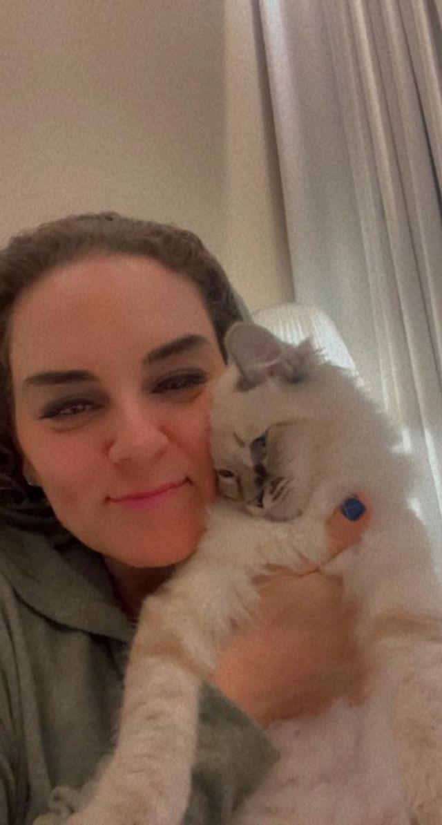 Pet Hotel Home Pet Boarding in Al Rashidya Dubai, United Arab Emirates Ellie’s Pet Boarding