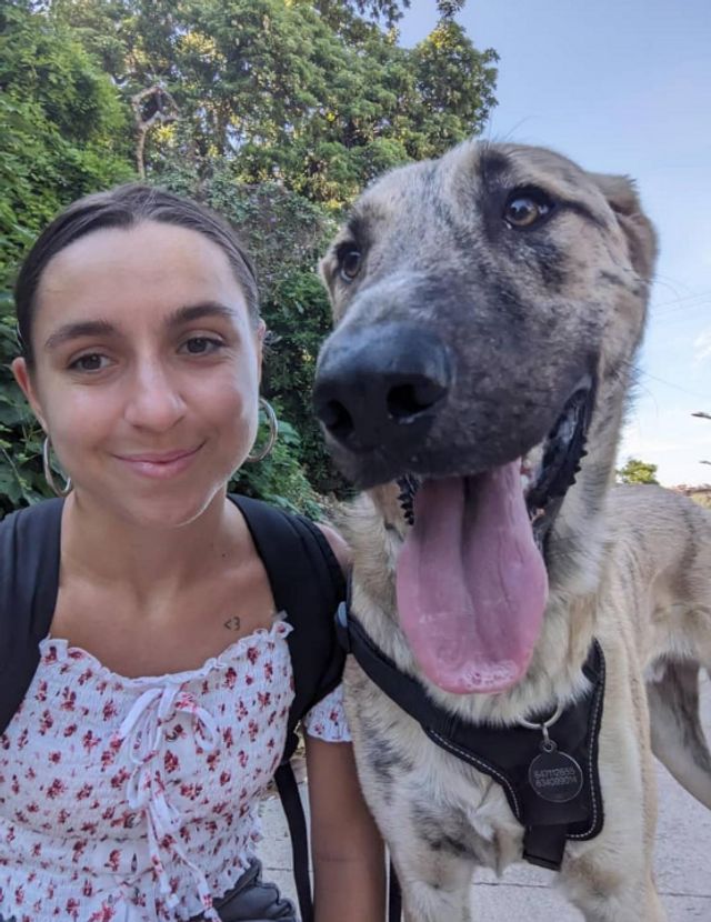 Pet Hotel Home Pet Boarding in Carrer de Piquer, Barcelona Casa
