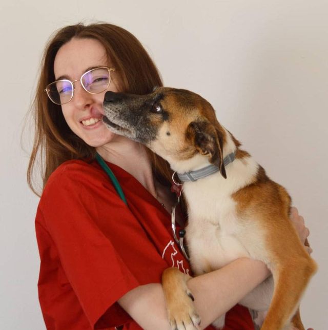 Pet Hotel Home Pet Boarding in Valencia, Cortes Val, Valencia Hotel