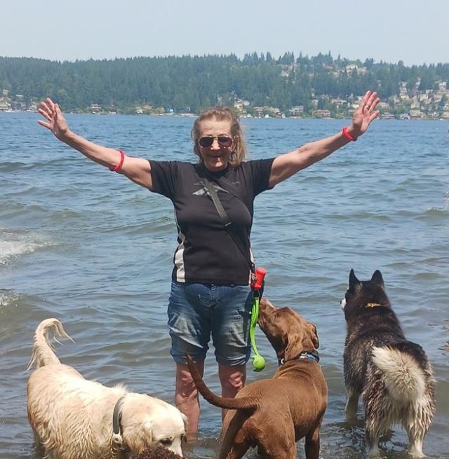 Pet Boarding in Seattle, WA, Seattle Seattle Dog Boarding PetBacker