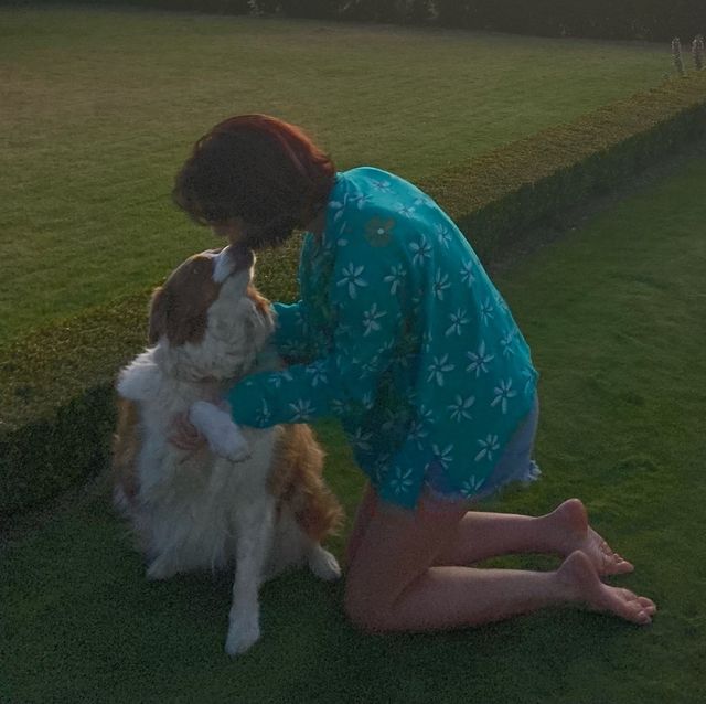 Pet Sitter in I am based in Somers, Cape Town Linas Dog Walking/ Pet