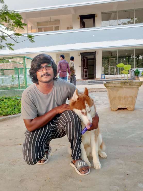 Pet Taxi Transport in MVP Colony, Visakhapatnam Dog Transport