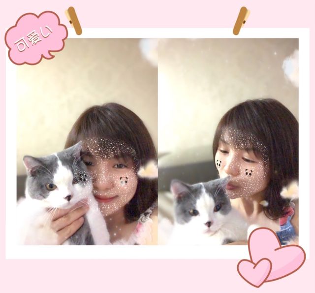 Pet Hotel Home Pet Boarding in Joy De Oscar Johor B, Johor Bahru Joy