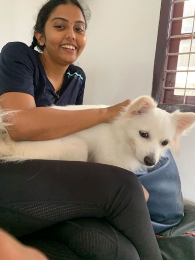Pet Hotel Home Pet Boarding in Chembumukku , Near p, Ernakulam Home Away Home Pets In Kochi