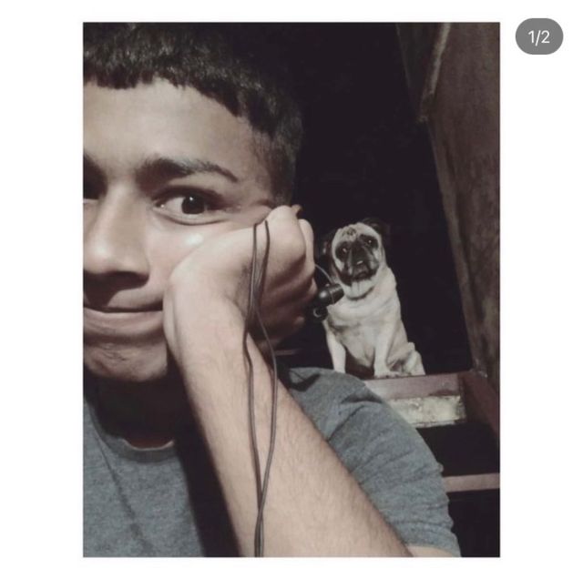 Pet Hotel Home Pet Boarding in Indiabulls Greens, K, Navi Mumbai Lil