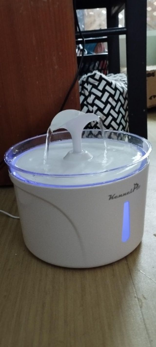 Pet Hotel Home Pet Boarding in Sheridan Pioneer Pas, Pasig Cats Only