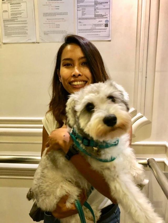 Pet โรงแรมรับฝากสัตว์เลี้ยงตามบ้าน ใน Sukhumvit, Asoke, On, , Small