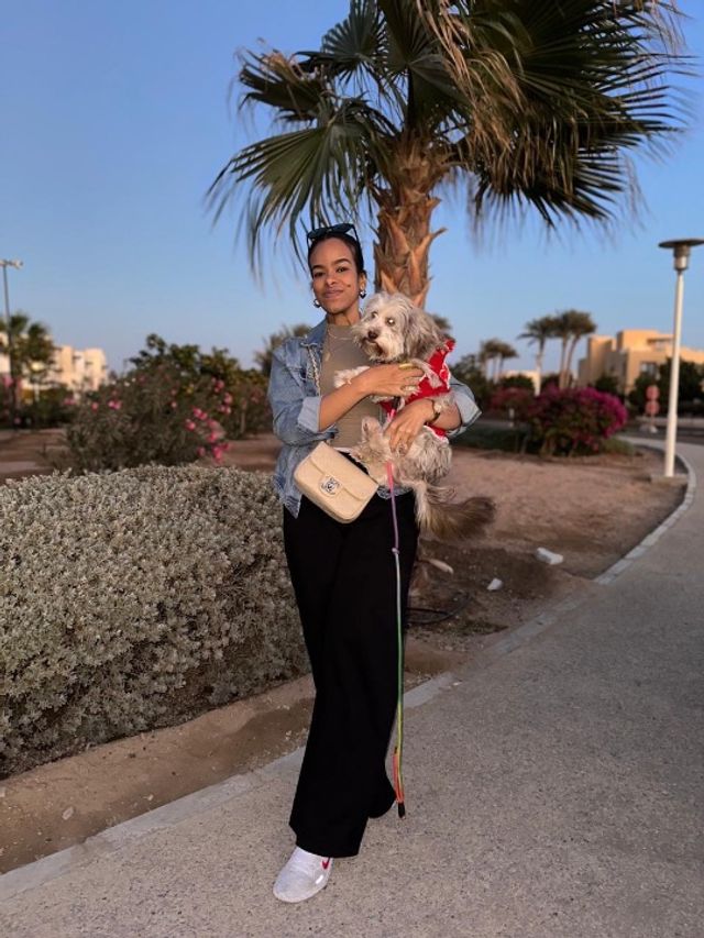 Pet Hotel Home Pet Boarding in JVC , JLT , Dubai sp, Dubai Pawvoy🐾