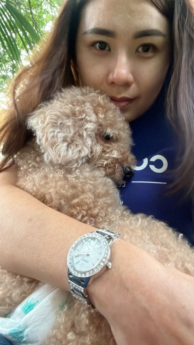 Pet Hotel Home Pet Boarding in 马六甲, Bandar Melaka Coco Paws PetBacker Melaka