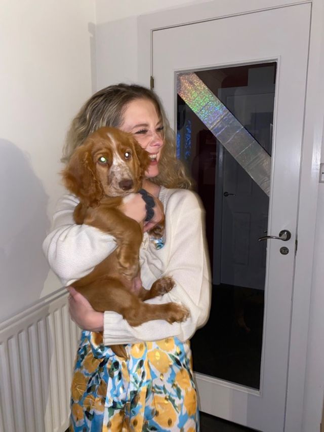 Pet Sitter in Al Anfal Street, Khalifa City Abu Dhabi Pet Sitting