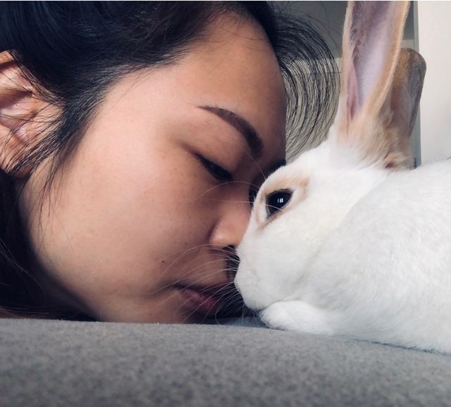 Pet Sitter in Al Qudra Road, Dubai Grace The Bunnies’ Mummy