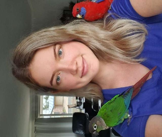 Pet Boarding in Brisbane Ipswich , Collingwood Park Amanda's Dog And