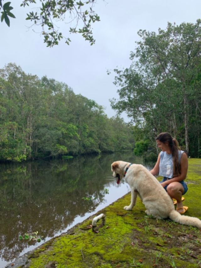 Pet Sitter in Queenstown , Queenstown Pet Sitting Queenstown PetBacker Singapore