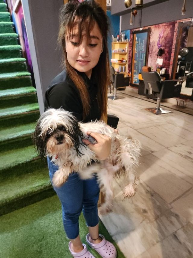 Pet Sitter in Gurgaon, delhi, Gurugram Explorer Pet Sitting