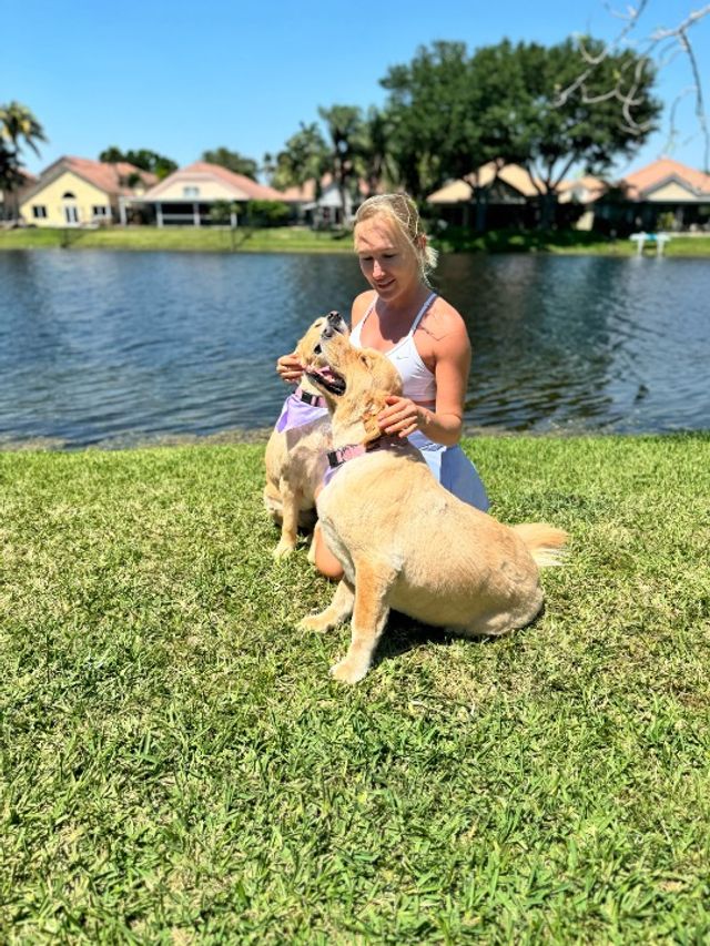 Pet Boarding in Peachtree Circle, Davie Pet Smile Inn