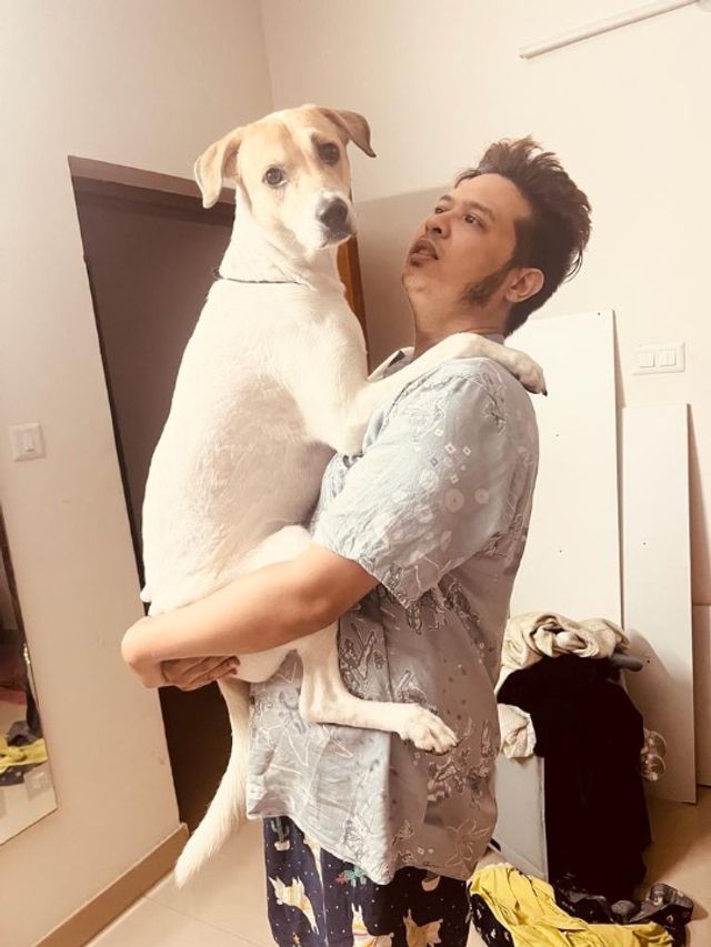 Pet Hotel Home Pet Boarding in Kalyan Nagar, Kamman, Bengaluru Alan