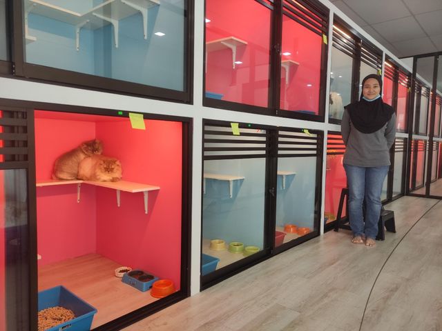 Pet Hotel Home Pet Boarding in Jalan Rampai Niaga 3, KL Cat's