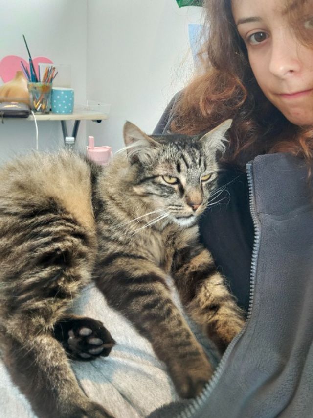 Pet Sitter in Wellington, New Zeal, Wellington Pet Sitter Steph