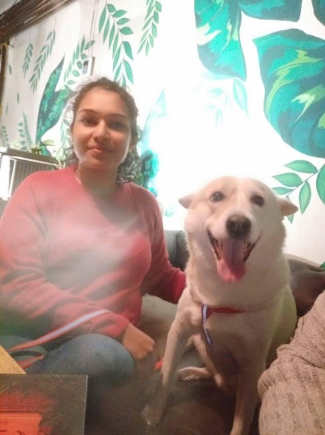 Pet Hotel Home Pet Boarding in KR Puram , Bengaluru Paul's Boarding