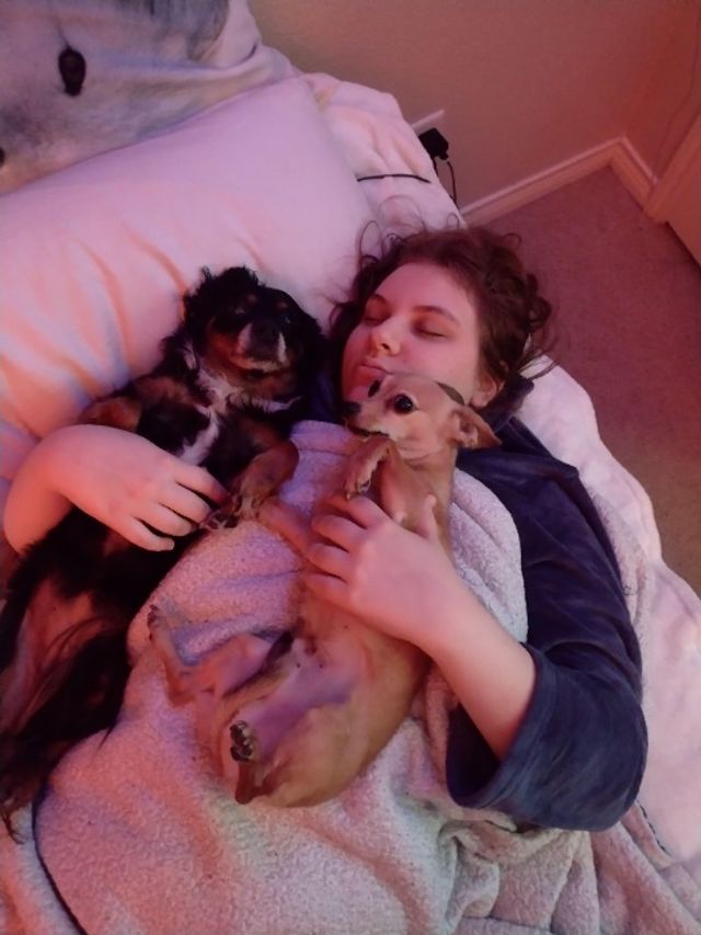 Pet Boarding in Rio Grande Dr, Plano Plano Pet Sitting With Maegan