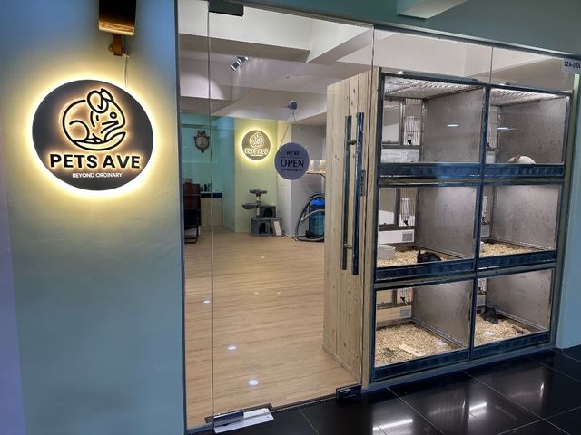 Pet Hotel Home Pet Boarding in USJ 19 Mall, Palazzo, Subang Jaya | Pets ...