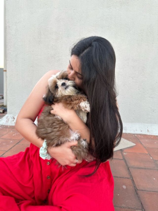 Pet Hotel Home Pet Boarding in Chennai, tamilnadu ,, Chennai Deepanaveen’s Pet Boarding