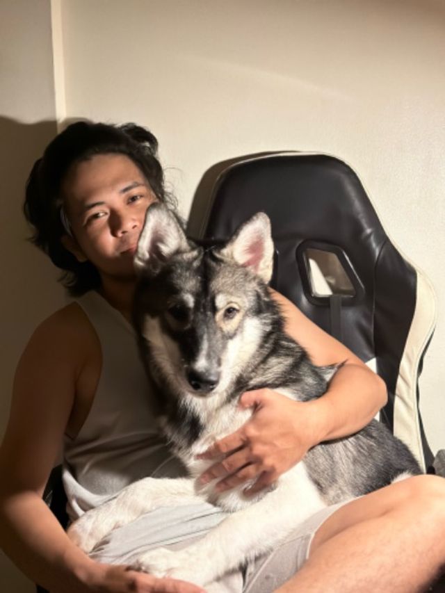 Pet Hotel Home Pet Boarding in Quezon City, Quezon City ShadowFur