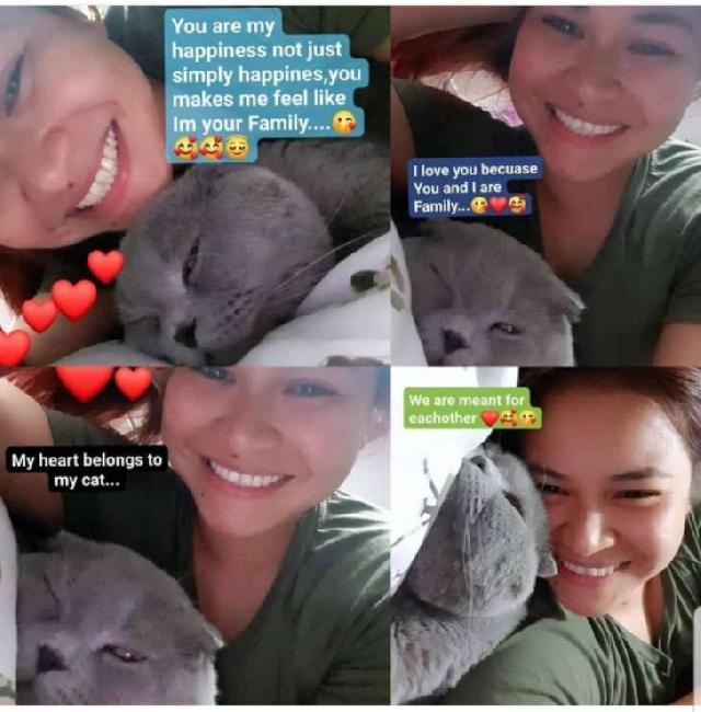 Pet Hotel Home Pet Boarding in Abudhabi City, Abu Dhabi Laxza At Your Angel Pets Service