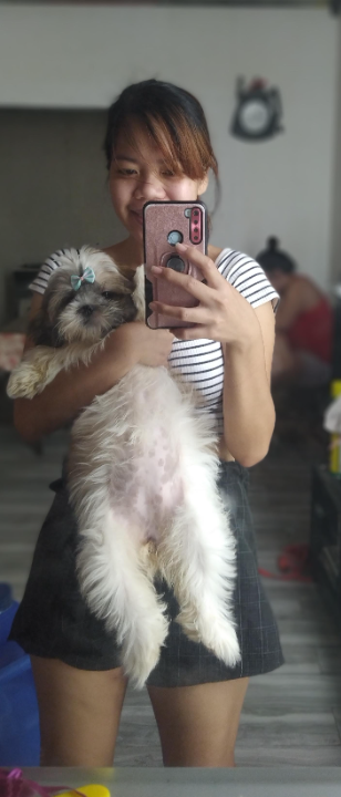 Dog Walking in Manila | Quinn's Love | PetBacker Metro Manila