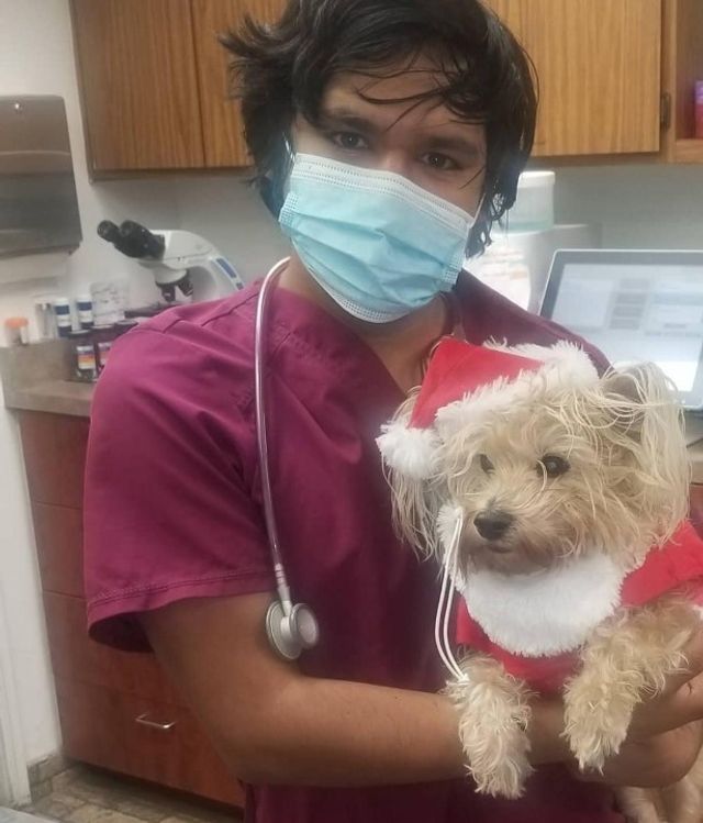 Pet Sitter in Phoenix Arizona ****, Phoenix Pet Sitting PetBacker