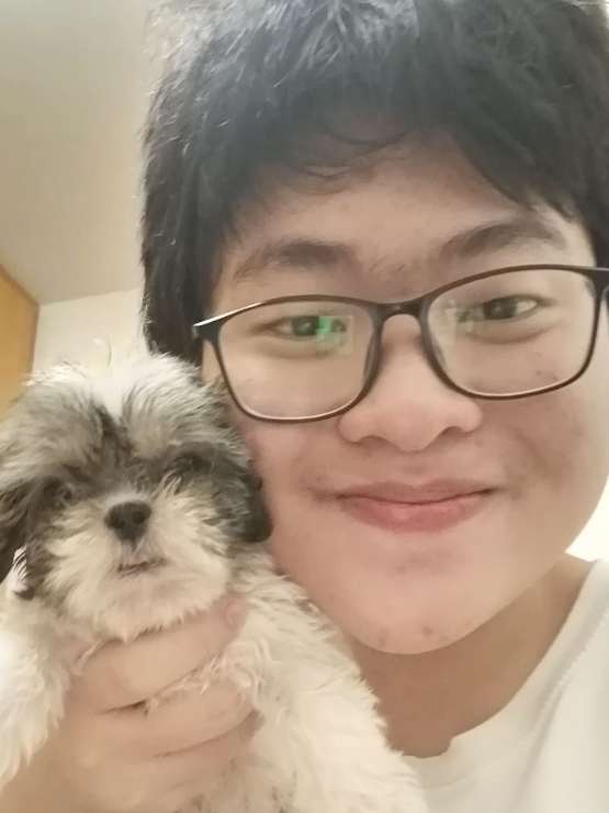 Dog, Cat Hotel Home Pet Boarding in Jalan Ipoh, KL Nathan Yap Dog