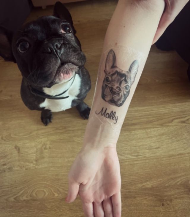 Dog Walking in Latvia, Riga Рига Dog Walks PetBacker Рига