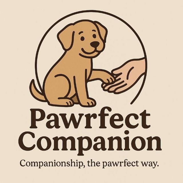 Pet Sitter in Kelambakkam Padur, Kelambakkam Pawrfect Companion