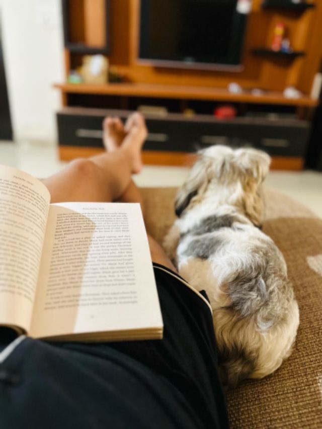 Pet Hotel Home Pet Boarding in Bangalore whitefield, Bengaluru