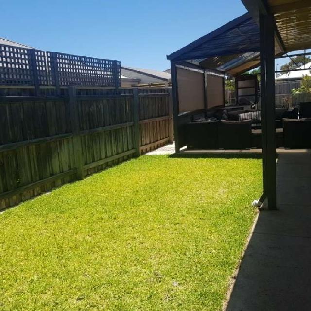 Pet Daycare in mandurah , Halls Head Mandurah Pet Sitter PetBacker